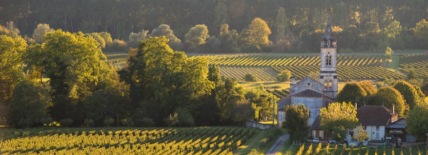 Discovering a Wine Lover's Paradise in Bordeaux