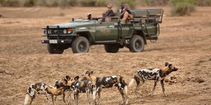 Zambezi to Luangwa: A Wild Odyssey Tours and luxury holiday experience