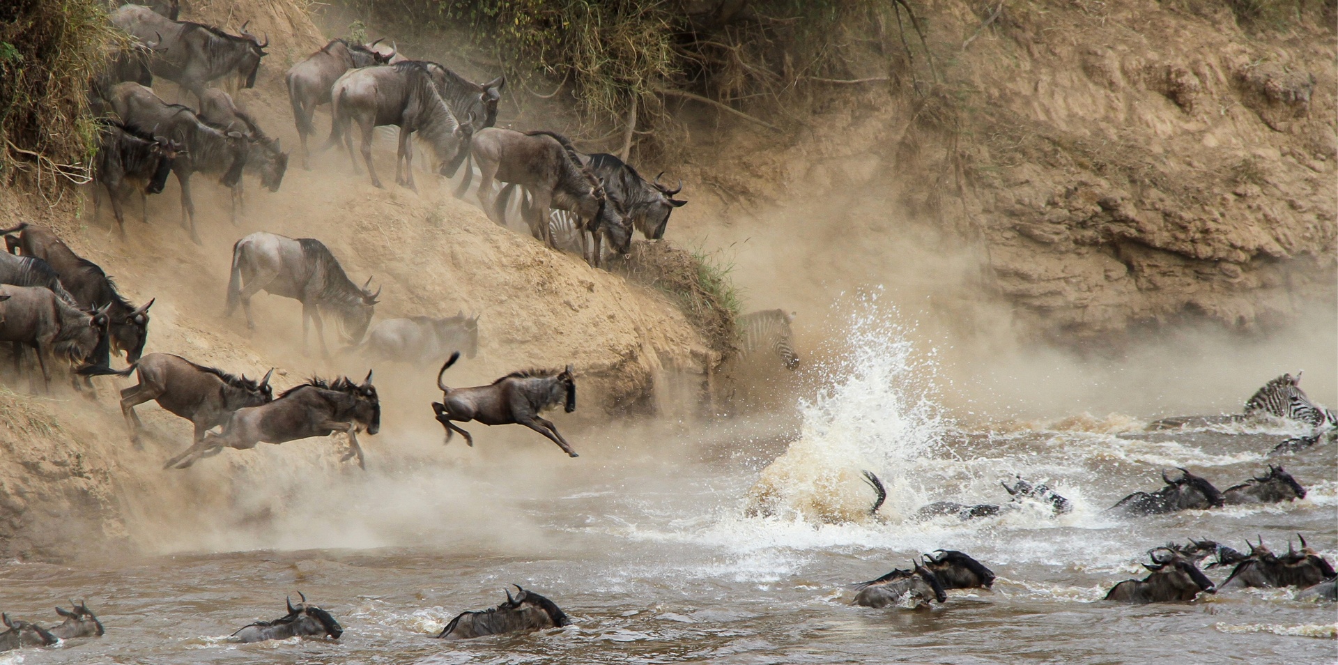 Game Parks of Africa