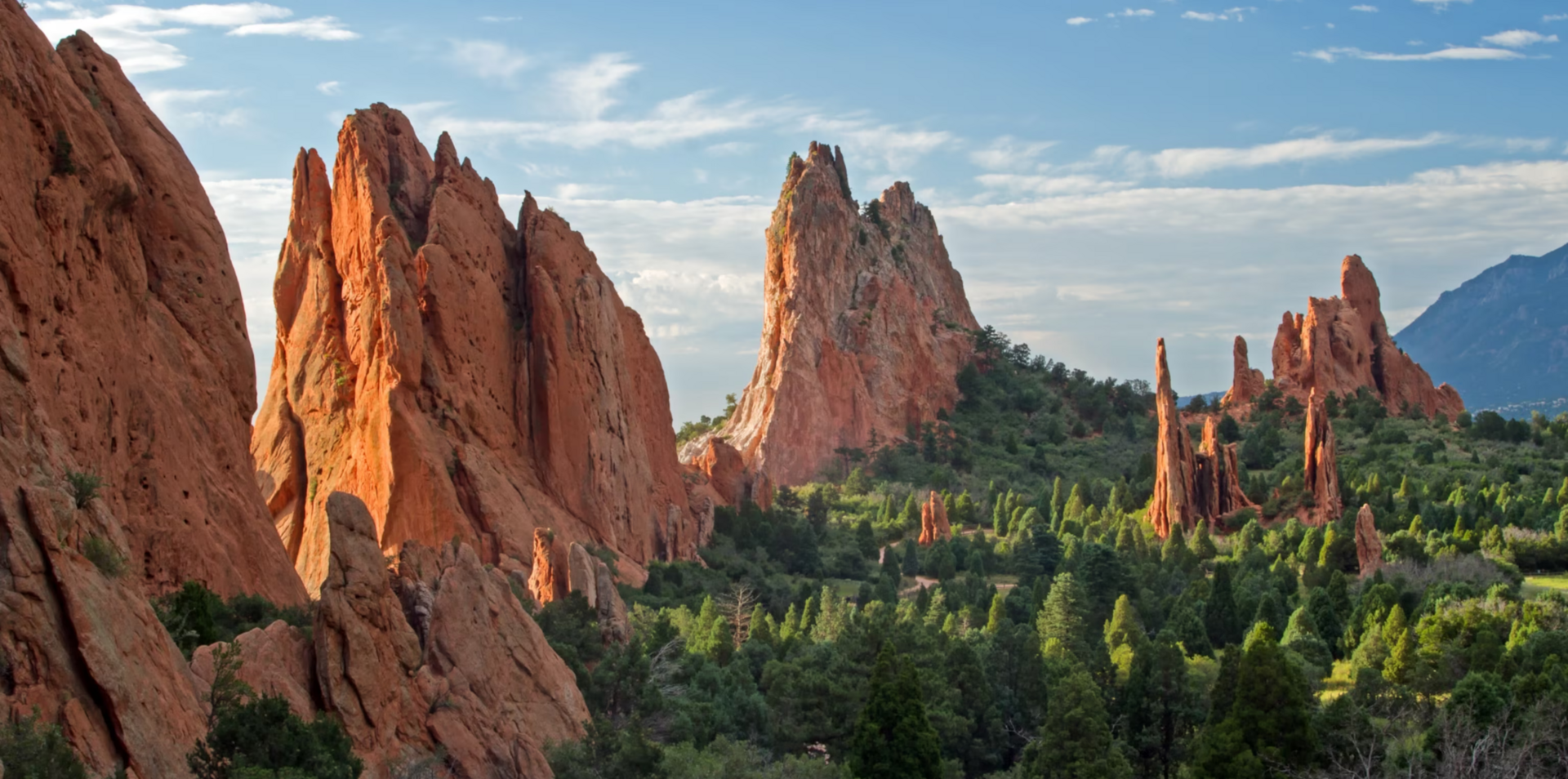 Where Music Was Born Product Image 5